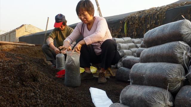 日本回收中国烟头，背后有何目的（中国烟头回收公司）