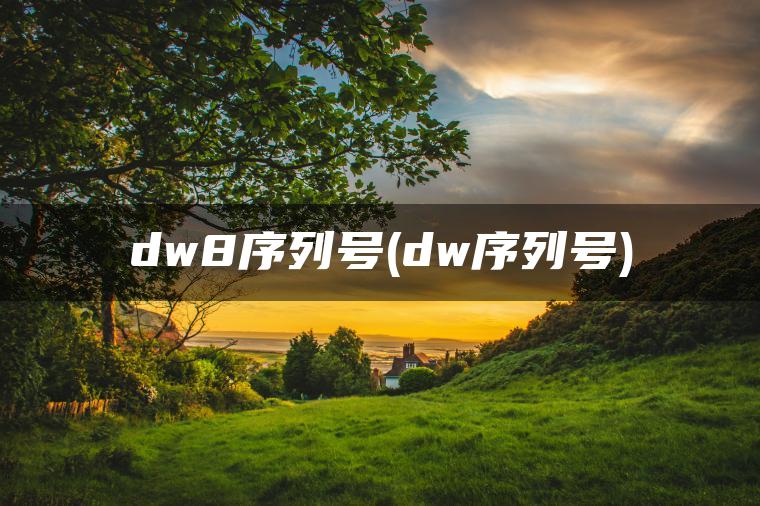 dw8序列号(dw序列号)