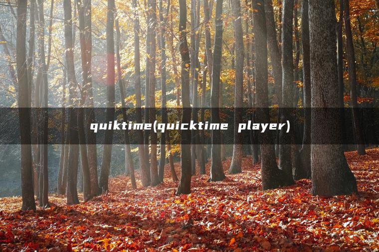 quiktime(quicktime player)