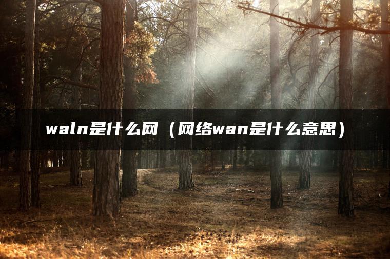 waln是什么网（网络wan是什么意思）