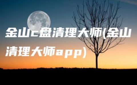 金山c盘清理大师(金山清理大师app)
